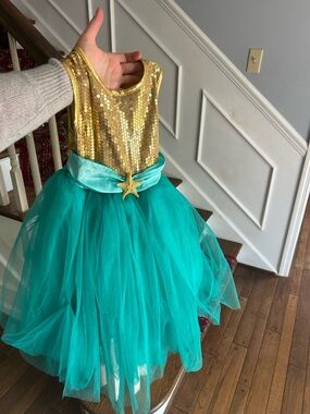 Gold Sequin & Teal Tulle Mermaid Costume Dress for Kids & Pink princess dress.